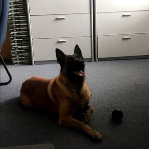 Meet your Posher, Anthony